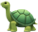 Tortues